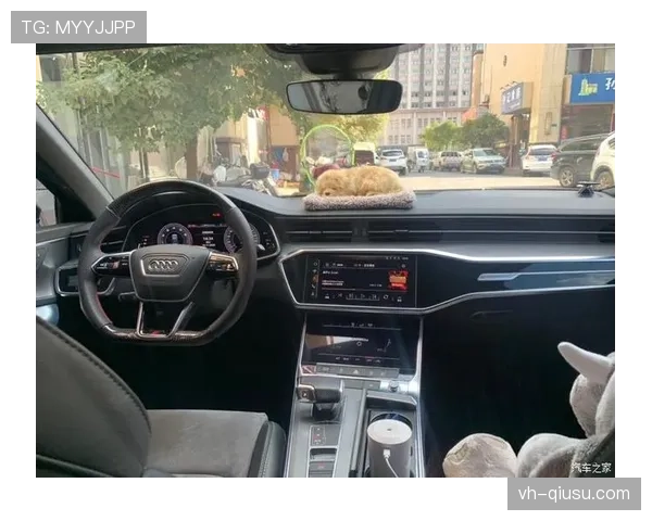 吴向东家里那辆豪车停满地下室，邻居都忍不住多看两眼！
